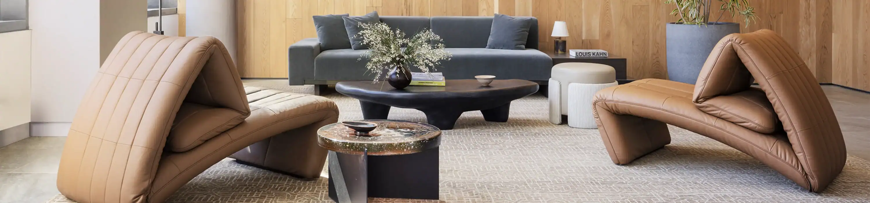 Collection New Arrivals Banner