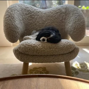 Instagram Sheepskin Series 1