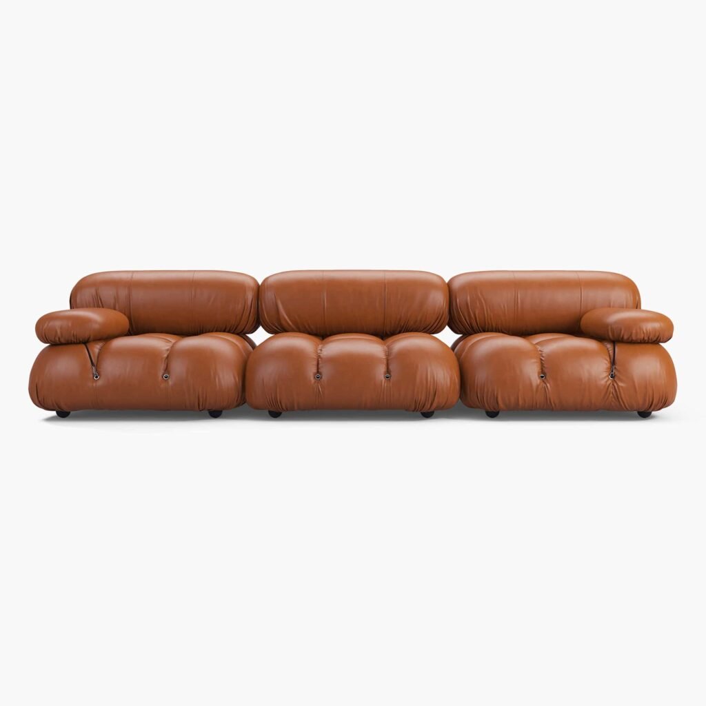 Camaleonda Sofa - Brown Leather 1 - Camaleonda
