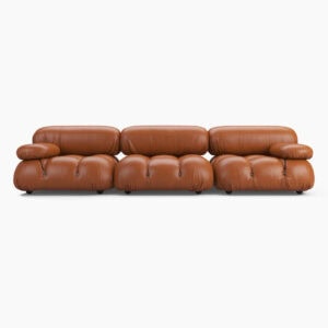 Camaleonda Sofa - Brown Leather 1 - Camaleonda