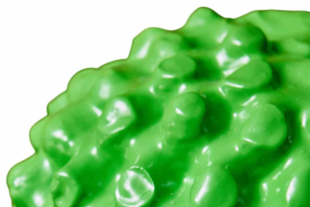 Cactus Coatrack - Feature A