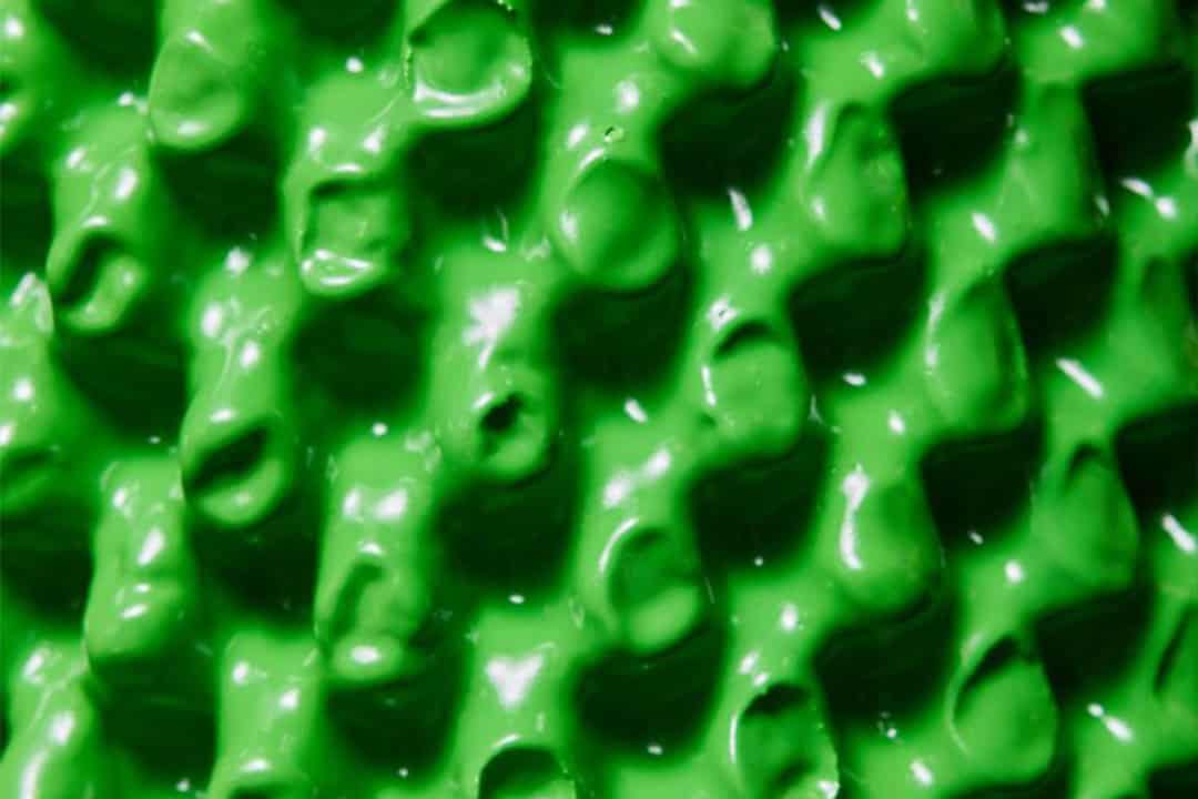 Cactus Coatrack - Feature C