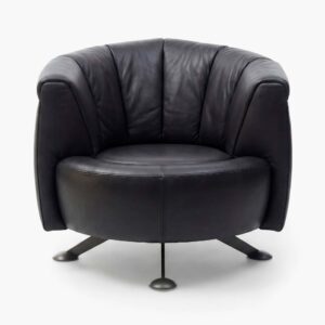 DS 164 Slide Armchair - Aniline Black Leather (1)