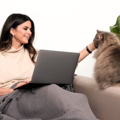 25 Things to Know Before Buying Best Pet Friendly Couches