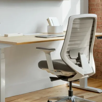 Ergonomic Home Office Chair
