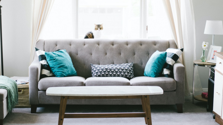 image 2023 10 09 164728093 - classic sofa styles, comfort