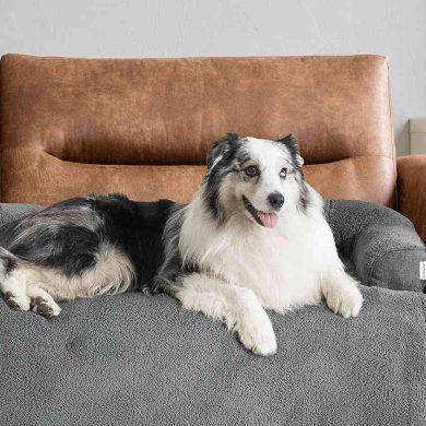 best furniture for dogs