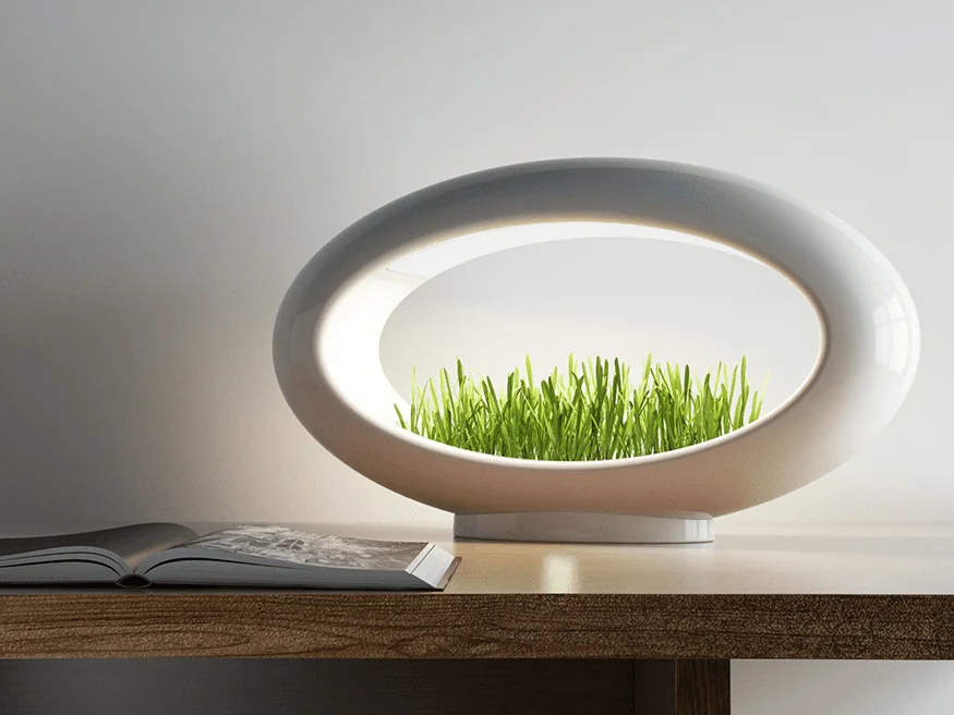 office desk decor ideas