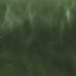 Togo Green - Sohnne